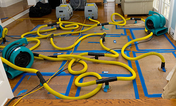 Professional Structural Drying And Dehumidification technician working in Captiva, FL